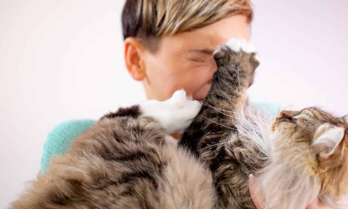 How to Bathe a Cat Without Getting Scratched