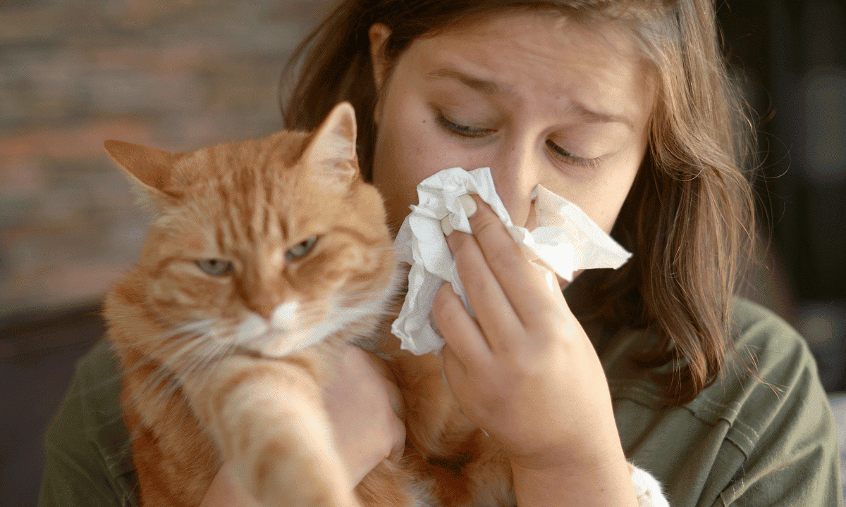 How To Get Rid Of Cat Allergies Naturally