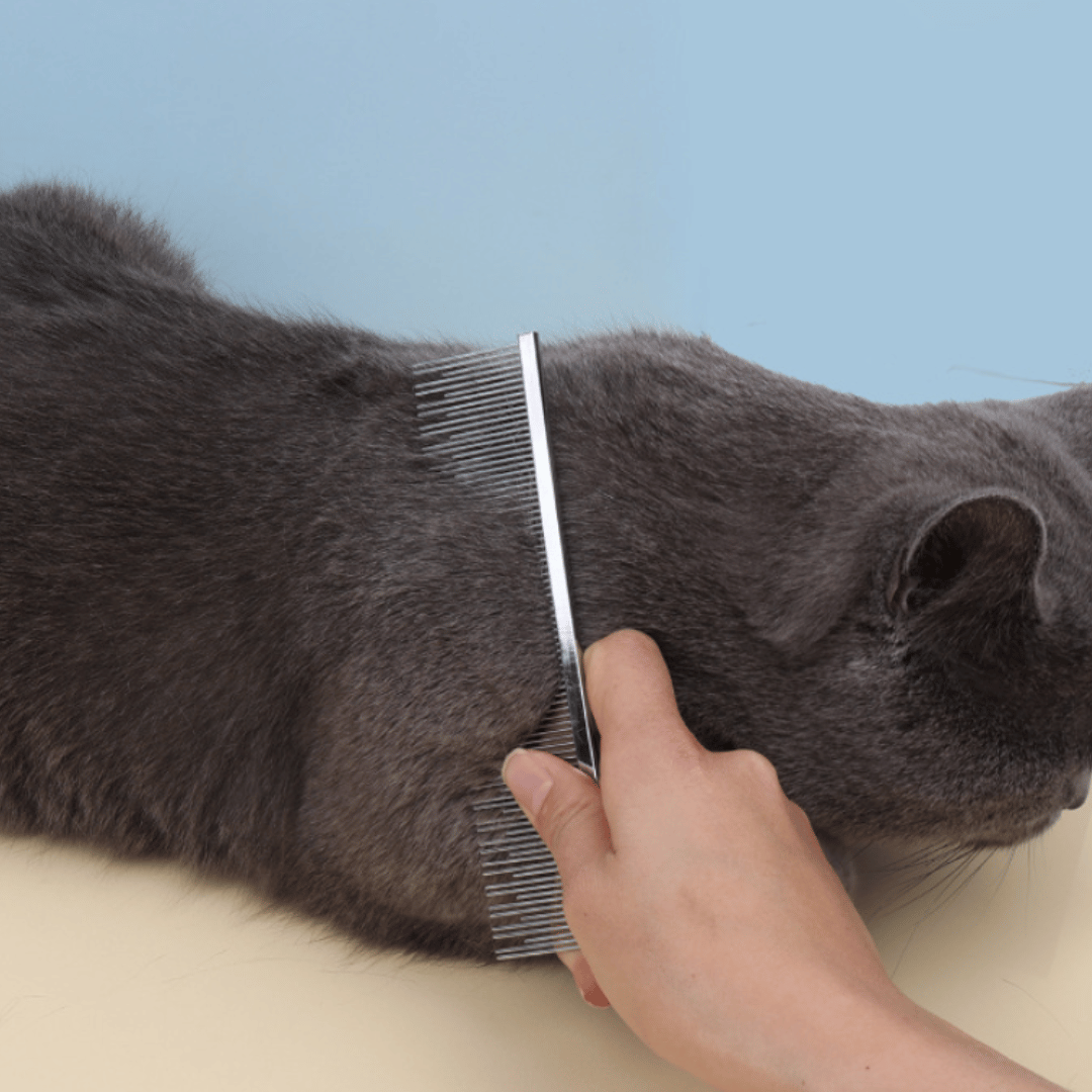 Histotree Cat Long and Short Teeth Pin Comb Removes Knots, Mats and Tangles