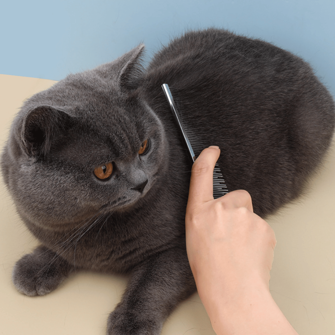 Histotree Cat Long and Short Teeth Pin Comb Removes Knots, Mats and Tangles