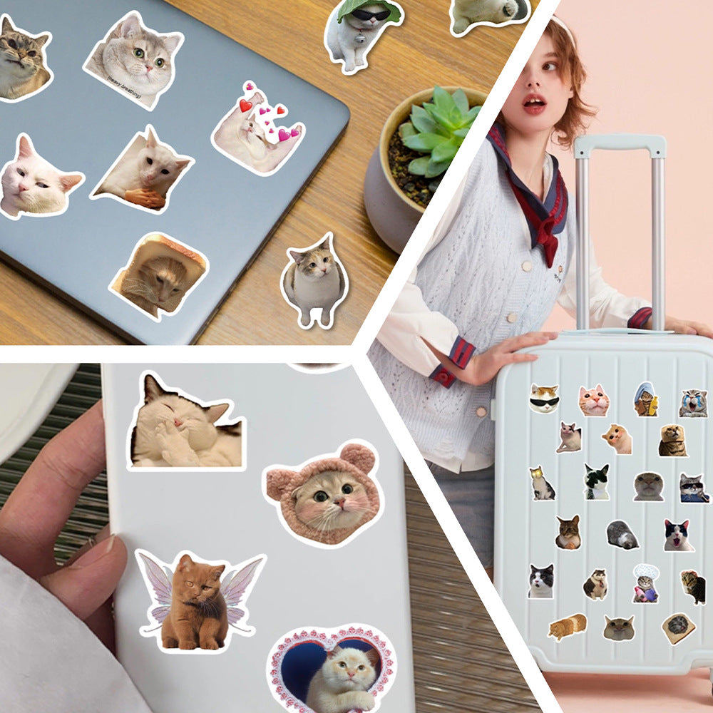 100pcs Funny Cat Meme Stickers Pack – Waterproof Vinyl Decals for Laptop, Water Bottle, Scrapbook, Gifts - 887302
